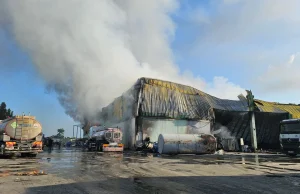 Adana’da sanayi alanında yangın: Geri dönüşüm tesisi zarar gördü