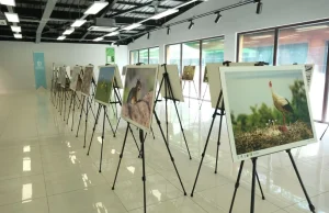 Türkiye’nin doğal güzellikleri Ormanya’da hayat buluyor…