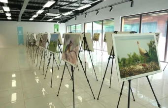 Türkiye’nin doğal güzellikleri Ormanya’da hayat buluyor…