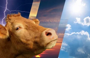 Kurban Bayramı’nda hava durumu nasıl olacak?