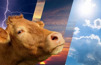 Kurban Bayramı’nda hava durumu nasıl olacak?