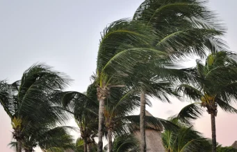 Sıcaklık yükseliyor, rüzgar sert esiyor: İl il hava durumu.