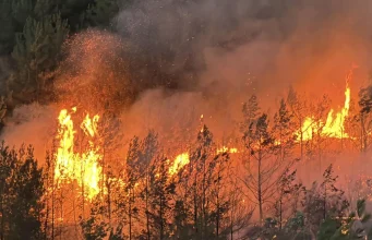 İzmir’de alevlerle mücadele devam ediyor: Buca, Ödemiş ve Çeşme’deki orman yangınında son durum