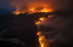 Hatay’ın Dörtyol ilçesinde orman yangını büyüyor: Tahliyeler ve müdahale sürüyor