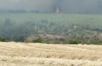 Silivri’de otluk alanda başlayan yangın ormana sıçradı