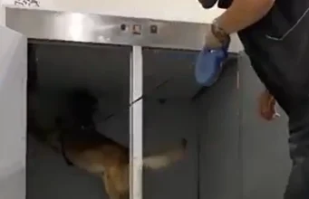 Gümrükten dev operasyon: 1,6 milyar lira uyuşturucu yakalandı