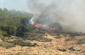 Tekirdağ’dan Çanakkale’ye sıçrayan orman yangınıyla mücadele