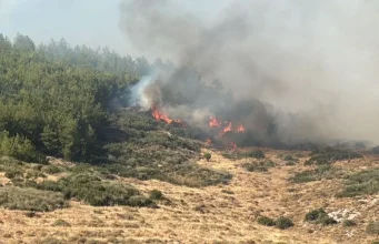 Tekirdağ’dan Çanakkale’ye sıçrayan orman yangınıyla mücadele