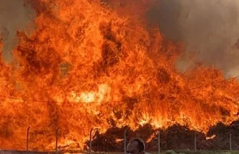 Son bir ayda orman yangınları arttı: 612 yangın söndürüldü.