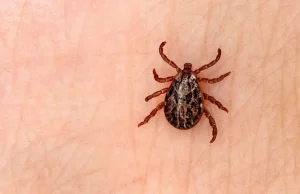 Kayseri’de KKKA şüphesiyle tedavi gören bir kişi hayatını kaybetti