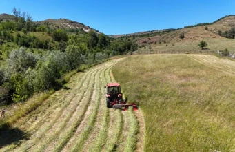 Tarım ÜFE, haziran ayında yüzde 18,82 artış gösterdi