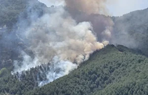 Balıkesir’deki orman yangını kontrol altına alındı…