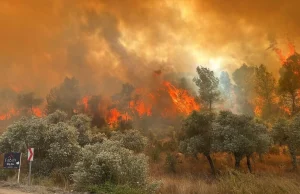 12 ilde 65 orman yangını: 44 gözaltı, 10 tutuklama