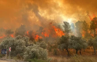 12 ilde 65 orman yangını: 44 gözaltı, 10 tutuklama