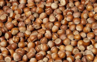 Fındık ihracatından 7 ayda 1,3 milyar dolar gelir sağlandı