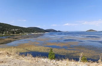 Kırkkepenekli Göleti’nde su çekilmesi balık ölümlerine yol açtı