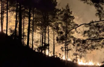 Alanya’da orman yangını: 1 kişi dumandan etkilendi