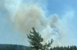 Burdur’un Ağlasun ilçesinde orman yangını