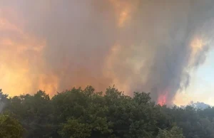 Denizli’deki orman yangınına müdahale 4. gününde sürüyor