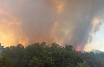 Denizli’deki orman yangınına müdahale 4. gününde sürüyor