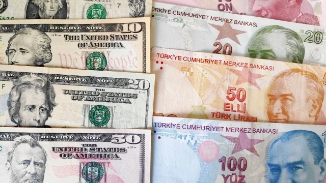 firmalarin-net-doviz-aciginda-temmuzda-dusus