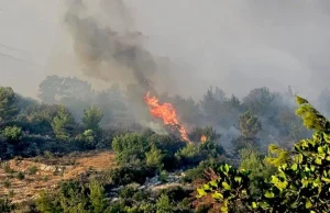 Küre Dağları Milli Parkı’nda orman yangını