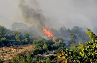 Küre Dağları Milli Parkı’nda orman yangını