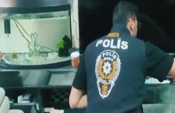 Siber Suçlarla Mücadele Kapsamında 170 Şüpheli Yakalandı