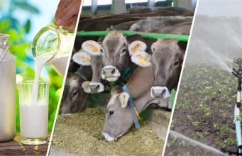 Tarımsal Destekleme Ödemeleri Hesaplara Yatmaya Başladı