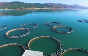 Su ürünlerinde planlı üretim kapsamı genişledi: Tür sayısı 16’ya çıktı