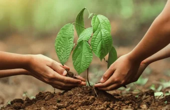11 Kasım’da Türkiye’den fidan ve katılım rekoru